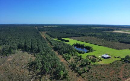 Farm Property for sale in Baldwin County, Alabama