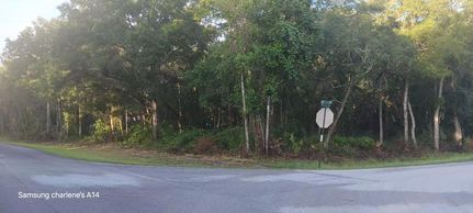 Property in Levy County, Florida