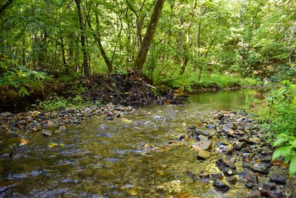 Property for sale in Montgomery County, Arkansas