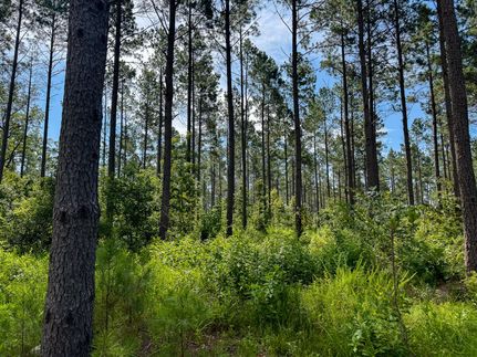 Property for sale in Dallas County, Arkansas