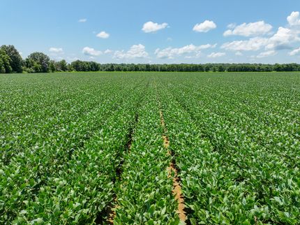 Property for sale in Arkansas County, Arkansas