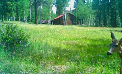 Property for sale in Rio Arriba County, New Mexico