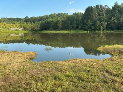 Property for sale in Holmes County, Mississippi