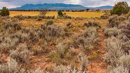 Ranch Property for sale in San Juan County, Utah
