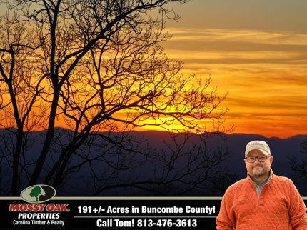 Undeveloped Land for sale in Buncombe County, North Carolina