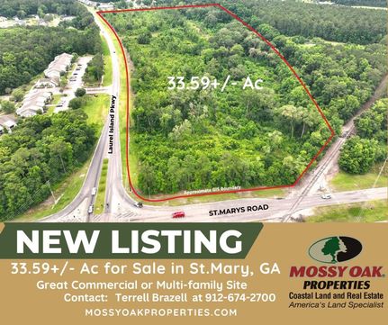 Undeveloped Land for sale in Camden County, Georgia