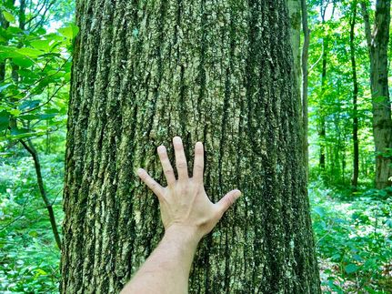 Property in Fayette County, Pennsylvania