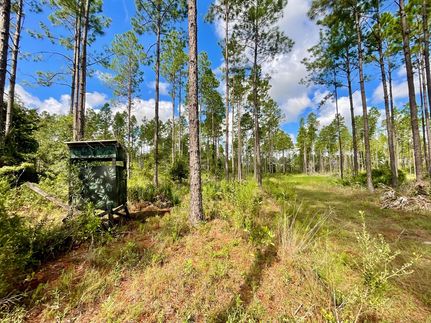 Recreational Property for sale in Gilchrist County, Florida