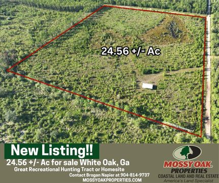 Property for sale in Camden County, Georgia