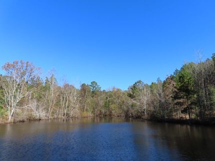 Waterfront Property for sale in Newberry County, South Carolina