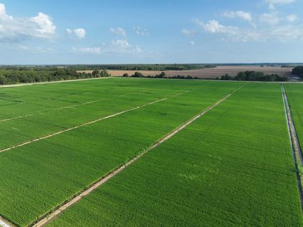 Property for sale in Quitman County, Mississippi