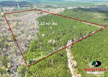 Property for sale in Brantley County, Georgia