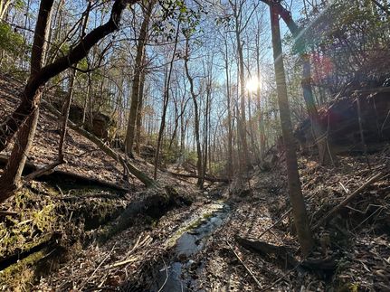 Farm Property for sale in Marion County, Alabama