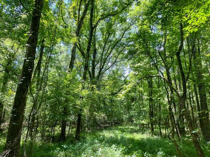 Undeveloped Land for sale in Hinds County, Mississippi