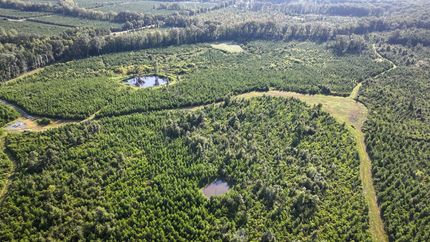 Hunting Land for sale in Clay County, Mississippi