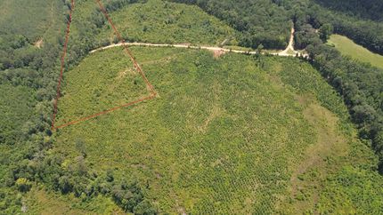 Property for sale in Fayette County, Alabama