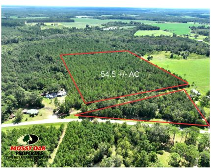 Property for sale in Pierce County, Georgia