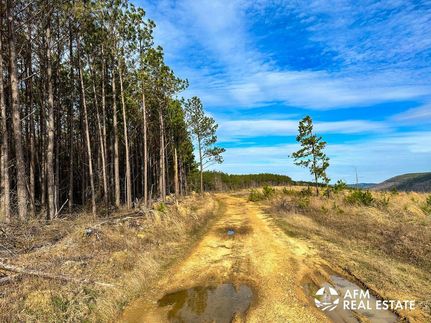 Hunting Land for sale in Le Flore County, Oklahoma