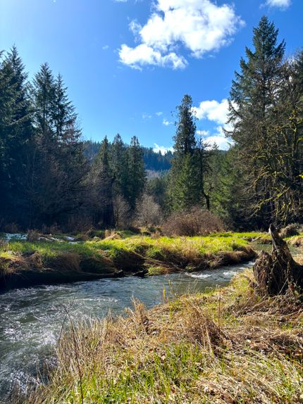 Recreational Property for sale in Benton County, Oregon