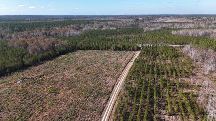 Property for sale in Telfair County, Georgia