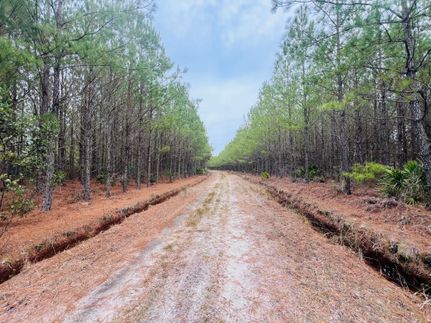 Property for sale in Wayne County, Georgia