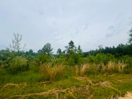 Property for sale in Laurens County, Georgia