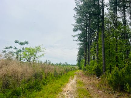 Timberland Property for sale in Laurens County, Georgia
