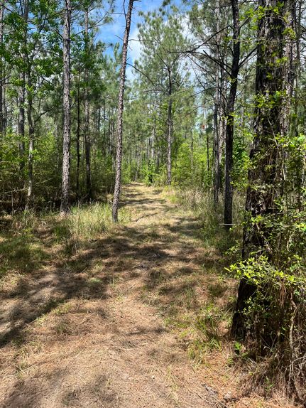 Property for sale in Rapides Parish, Louisiana