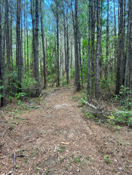 Property for sale in Rapides Parish, Louisiana