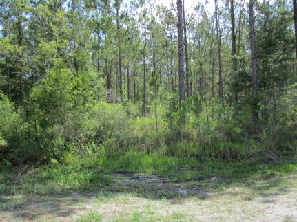 Property for sale in Bradford County, Florida