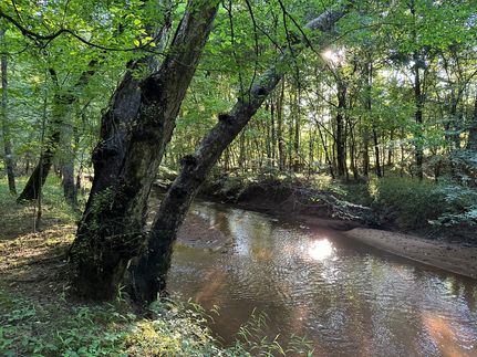 Property for sale in Abbeville County, South Carolina