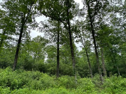 Property for sale in Nacogdoches County, Texas