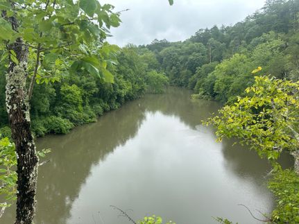 Property for sale in Jefferson County, Alabama