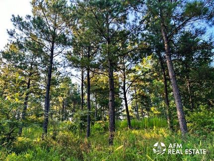 Hunting Land for sale in Pushmataha County, Oklahoma