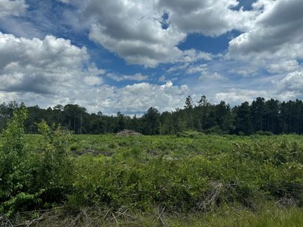 Recreational Property for sale in Union County, Florida