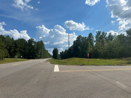 Undeveloped Land for sale in Bibb County, Alabama