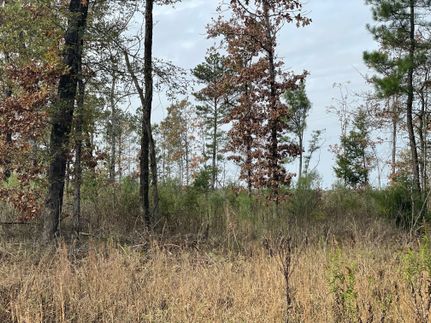 Property in Red River County, Texas