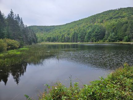 Hunting Land for sale in Penobscot County, Maine