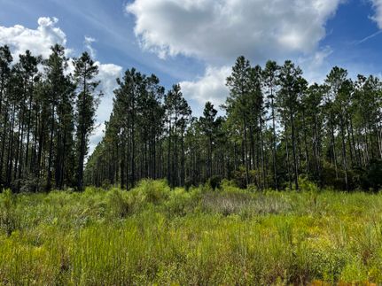 Timberland Property for sale in Leon County, Florida