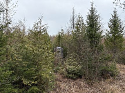 Property for sale in Shawano County, Wisconsin