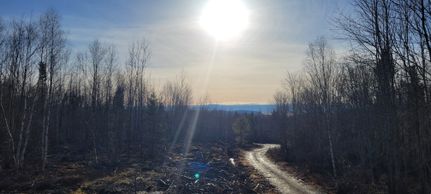 Property in Hancock County, Maine