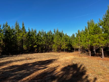 Property for sale in Quitman County, Georgia