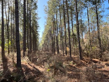 Property for sale in Randolph County, Georgia