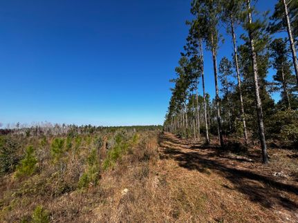 Hunting Land for sale in Jackson County, Florida