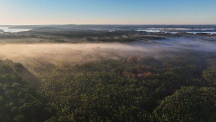 Property for sale in Sabine County, Texas