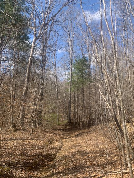 Property in Scott County, Tennessee