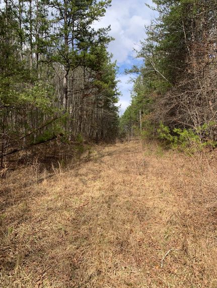 Hunting Land for sale in Morgan County, Tennessee