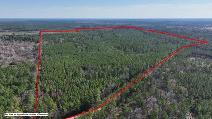 Hunting Land for sale in Trinity County, Texas