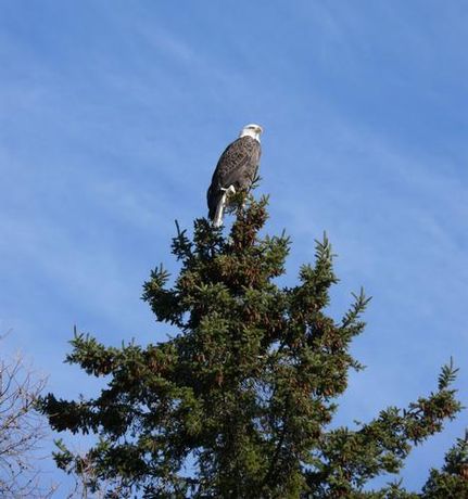 Riverfront Property for sale in Aroostook County, Maine