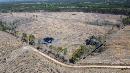 Property for sale in Colleton County, South Carolina